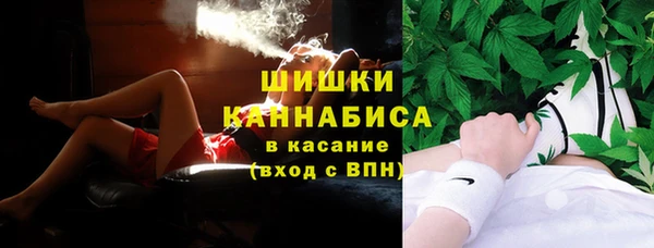PSILOCYBIN Балабаново