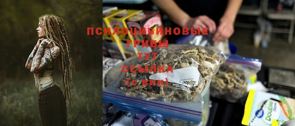 PSILOCYBIN Балабаново