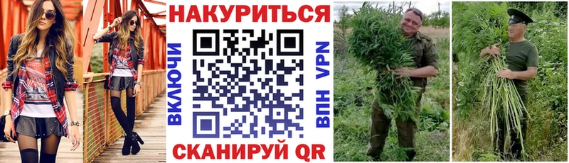 магазин продажи Пустошка МАРИХУАНА MAZAR